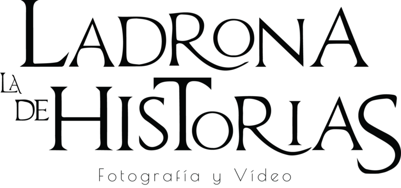 La ladrona de Historias